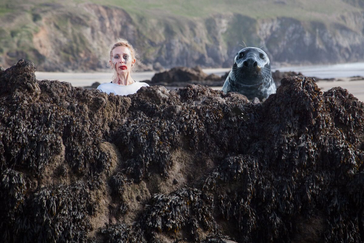Bonus. Big Seal